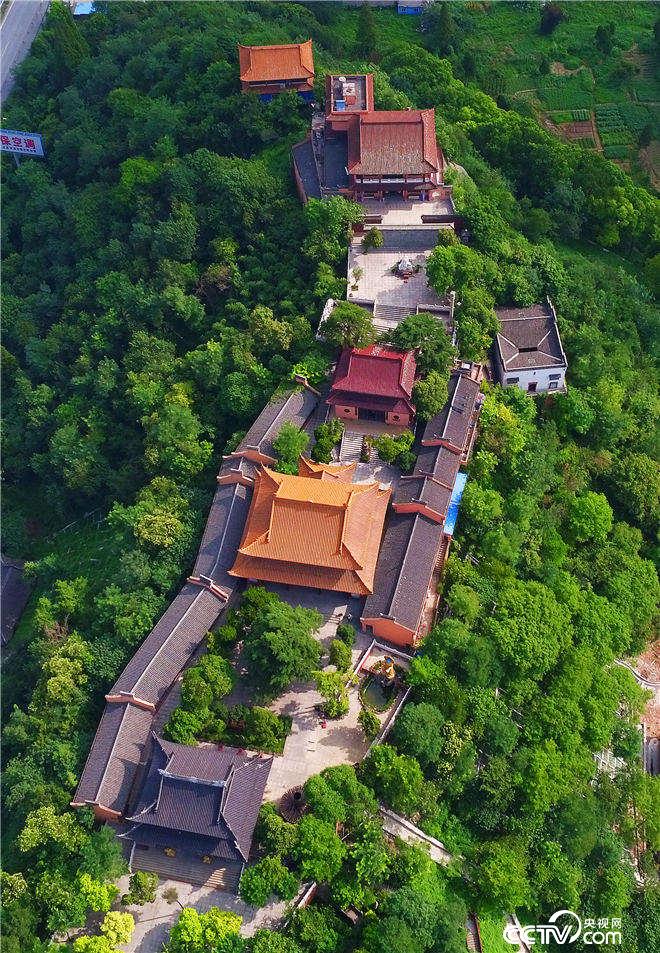 俯瞰